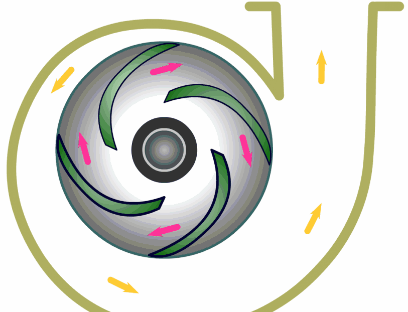 離心泵基本結(jié)構(gòu)動圖演示