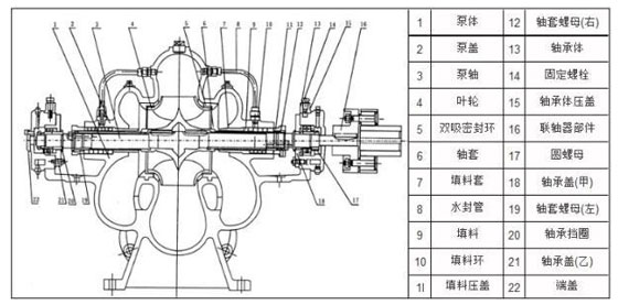 立式雙吸泵結構示意圖