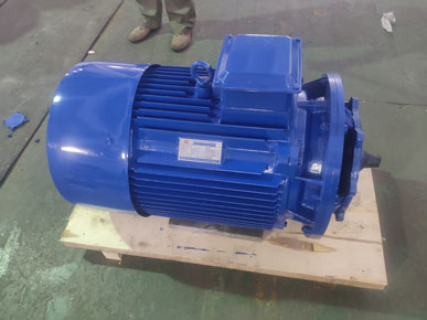 高低溫循環泵電機